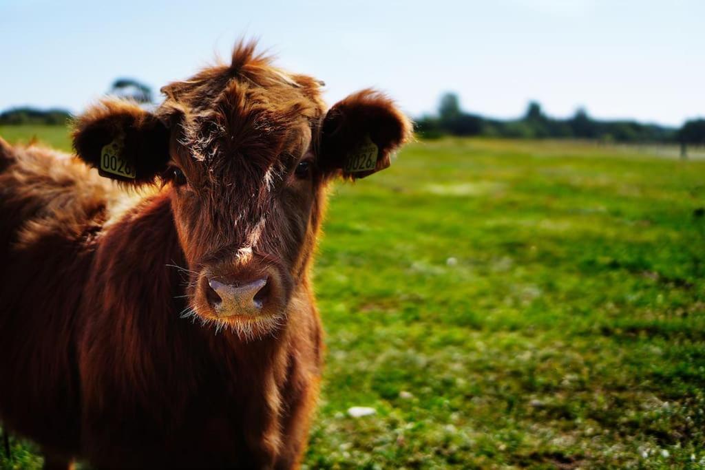 Gite De Charme A La Ferme - Duplex Landrévarzec 外观 照片